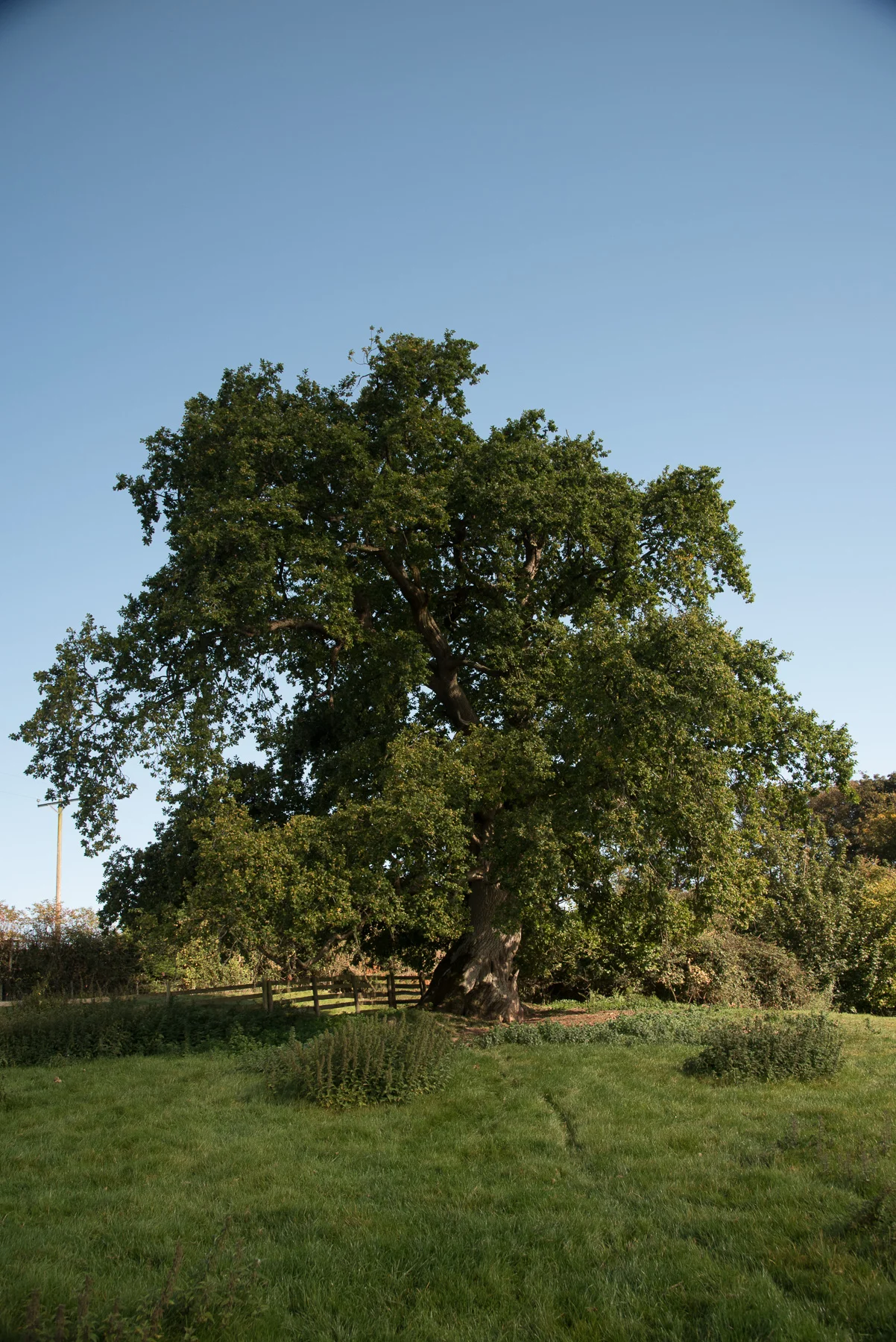 Cabalva-med-res-8.jpg