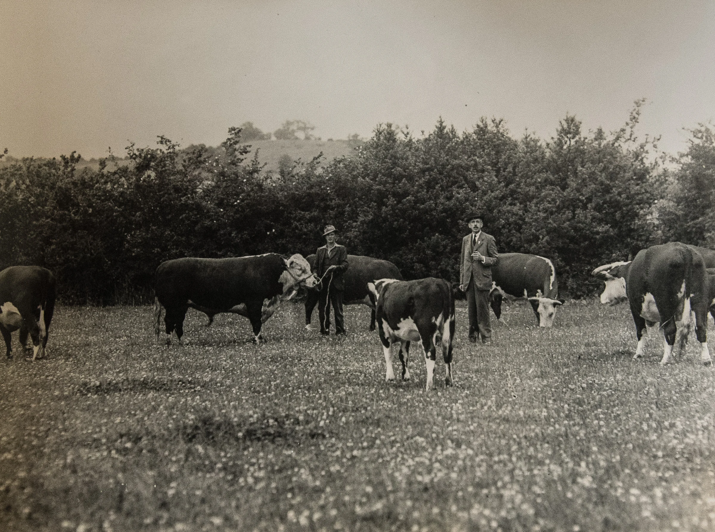 Cabalva-History.jpg