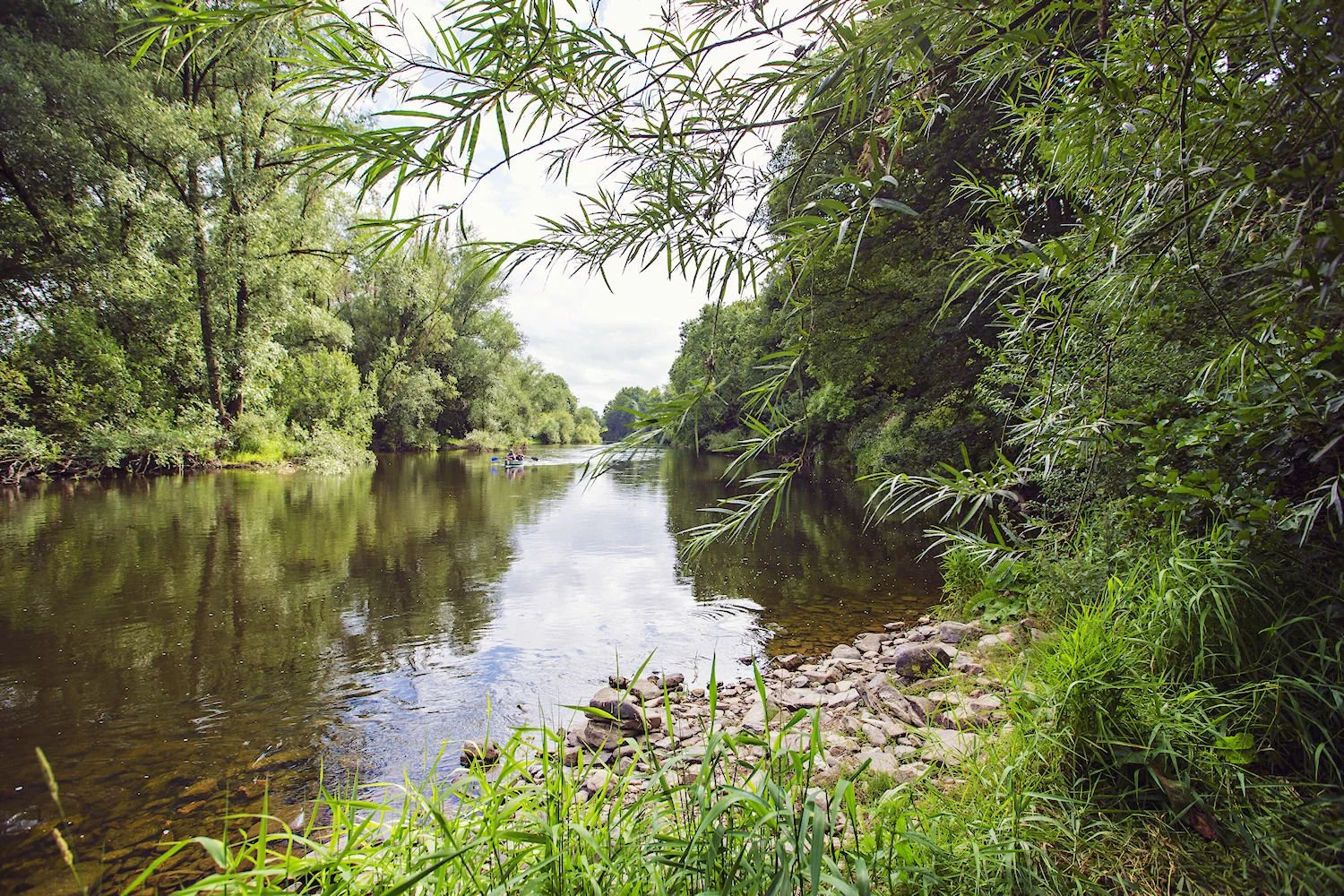 Fisher 7.jpg