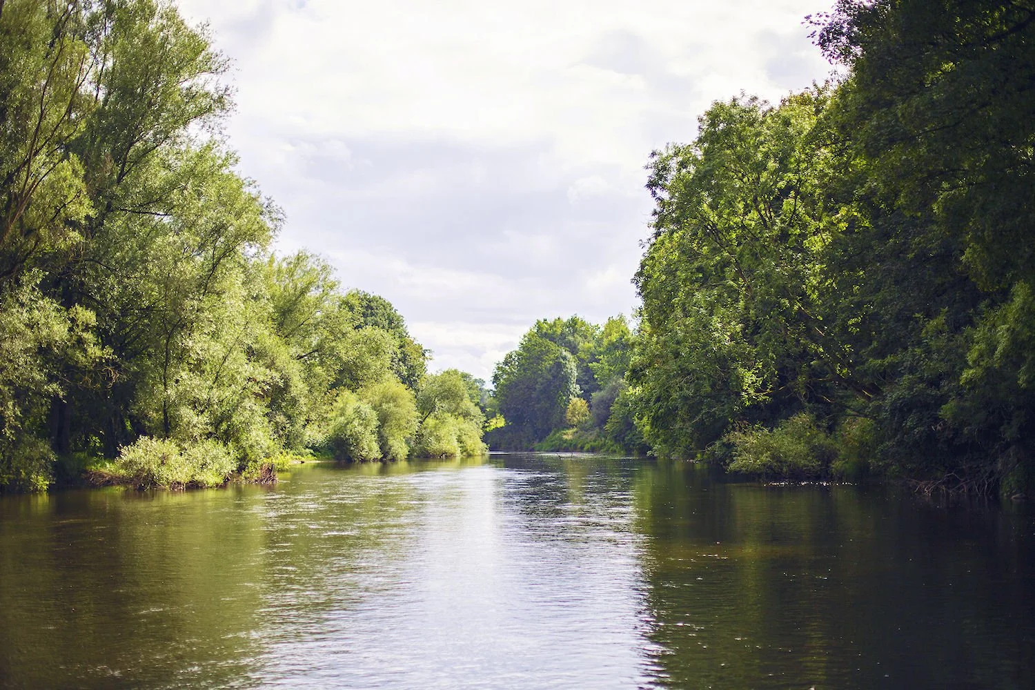 Fisher 6.jpg