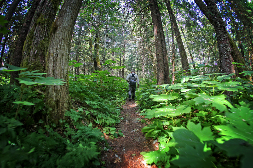 Mindful hiking