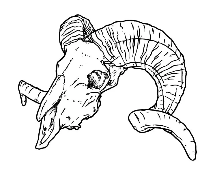 Ram Skull - Side Profile
