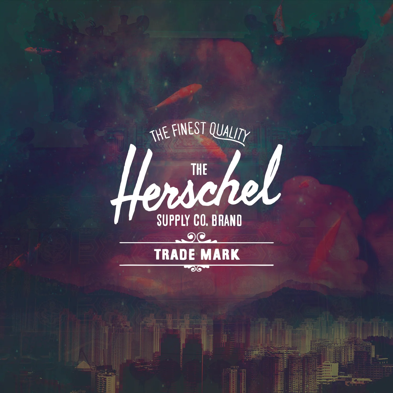 Herschel_MLP-NYC_Window-Banner.jpg
