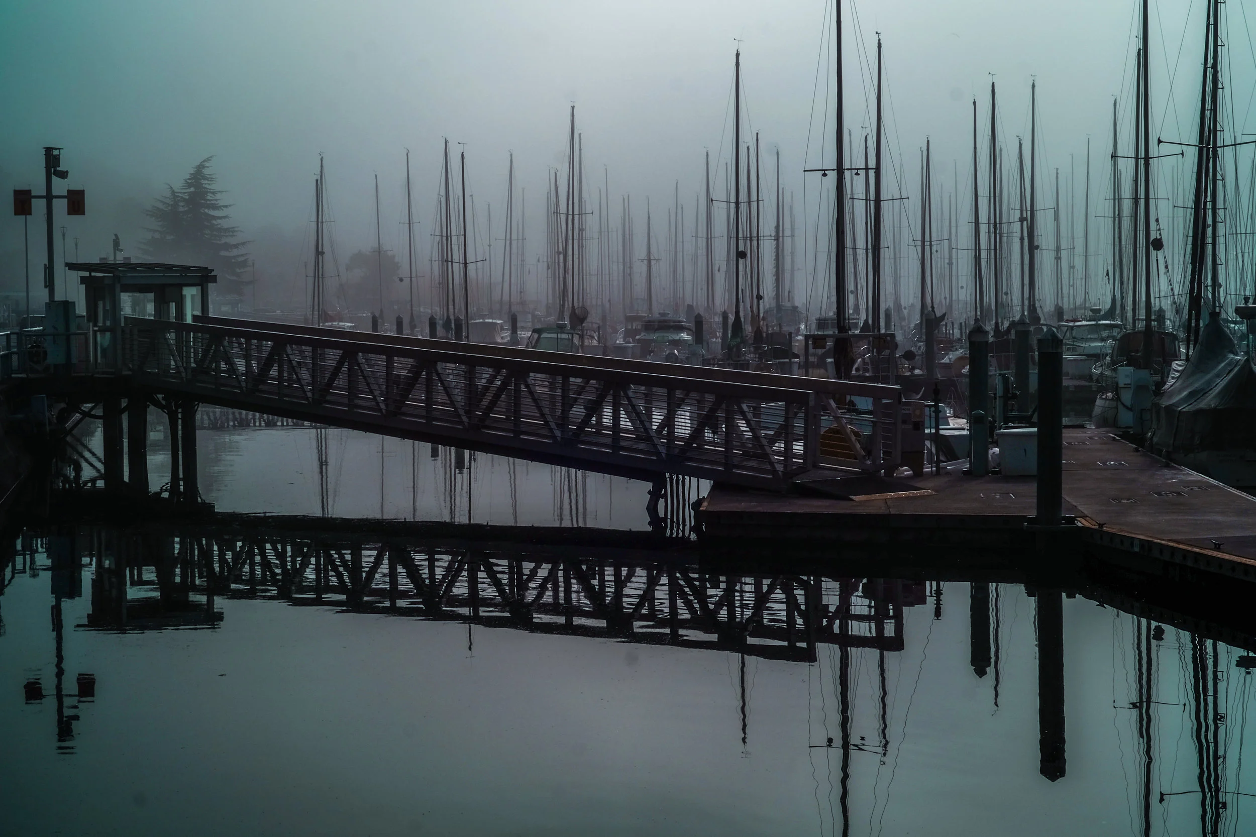 DSCF0326.jpg
