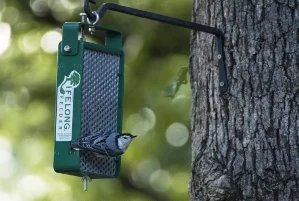 Customer Reviews Pictures Lifelong Raccoon Proof Squirrel