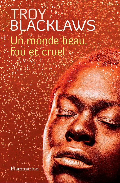 CRUEL CRAZY BEAUTIFUL WORLD - France, Flammarion front.png