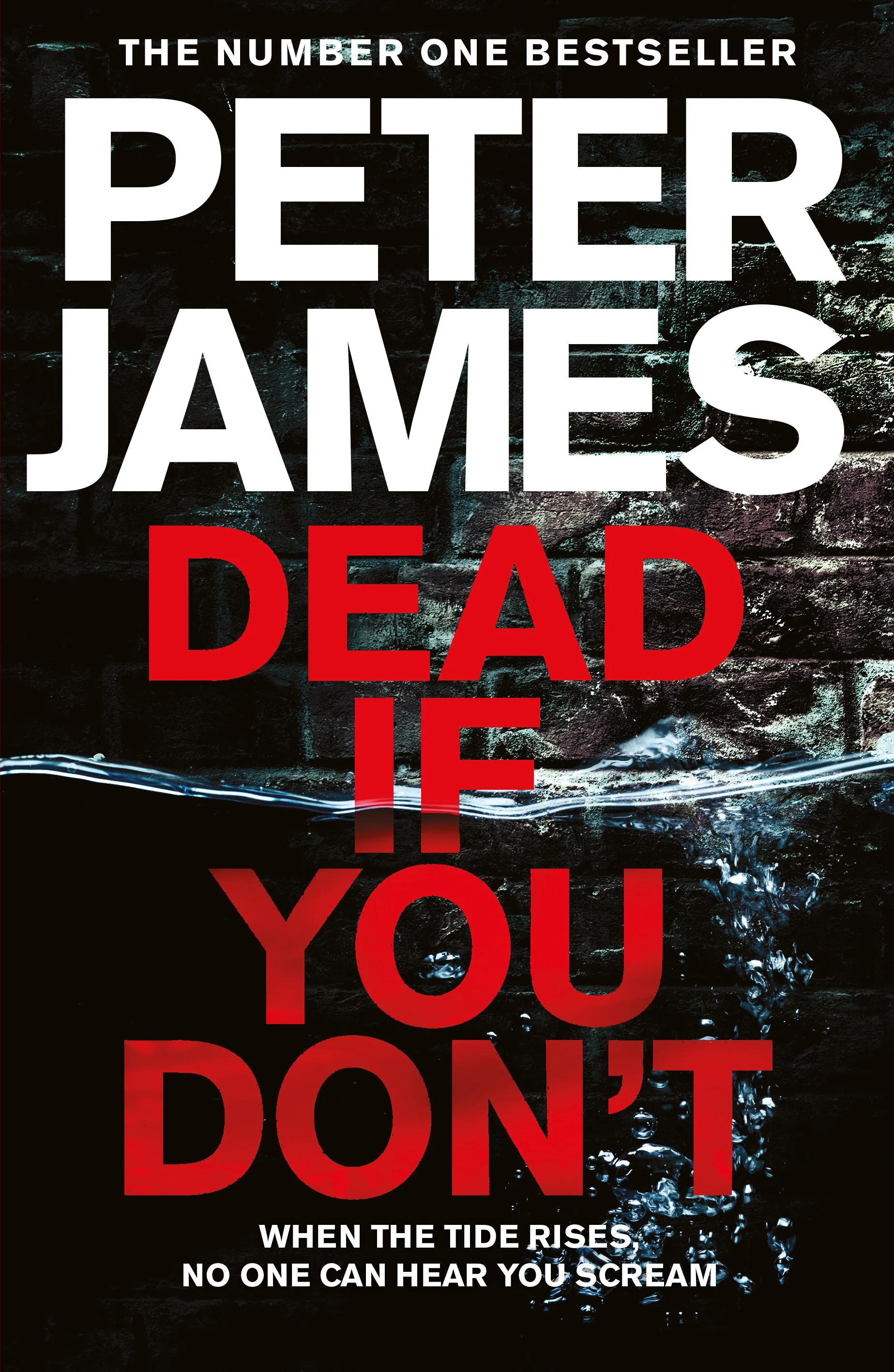 DEAD IF YOU DON'T final cover.jpg