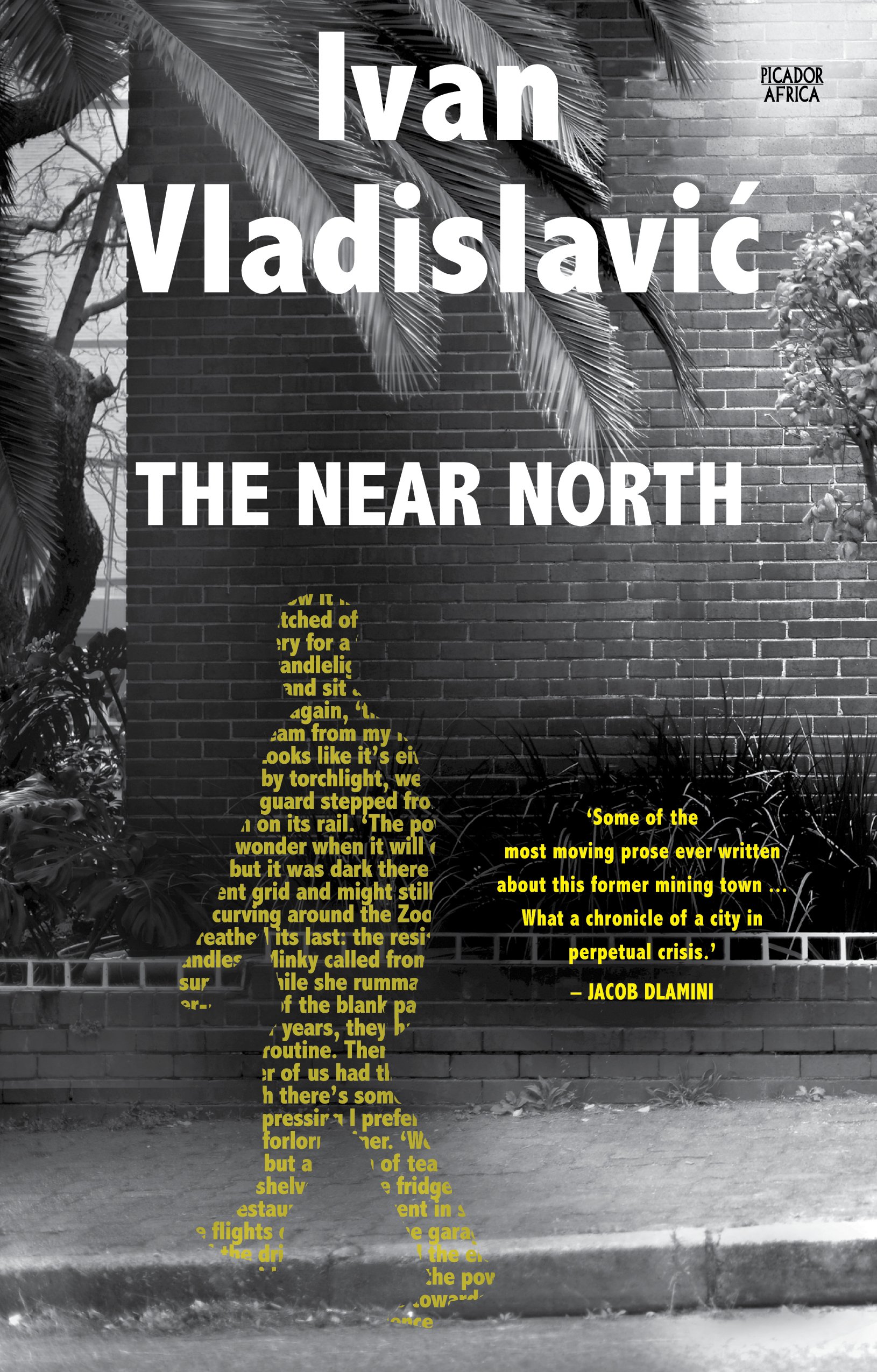 THE NEAR NORTH by Ivan Vladislavic_Cover_Picador SA_final.jpg