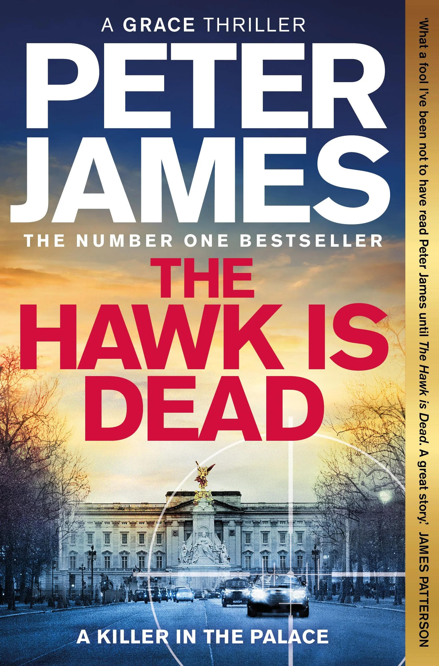THE HAWK IS DEAD - JAMES, Peter - UK, Pan Macmillan - PB cover, FRONT - FINAL.jpg