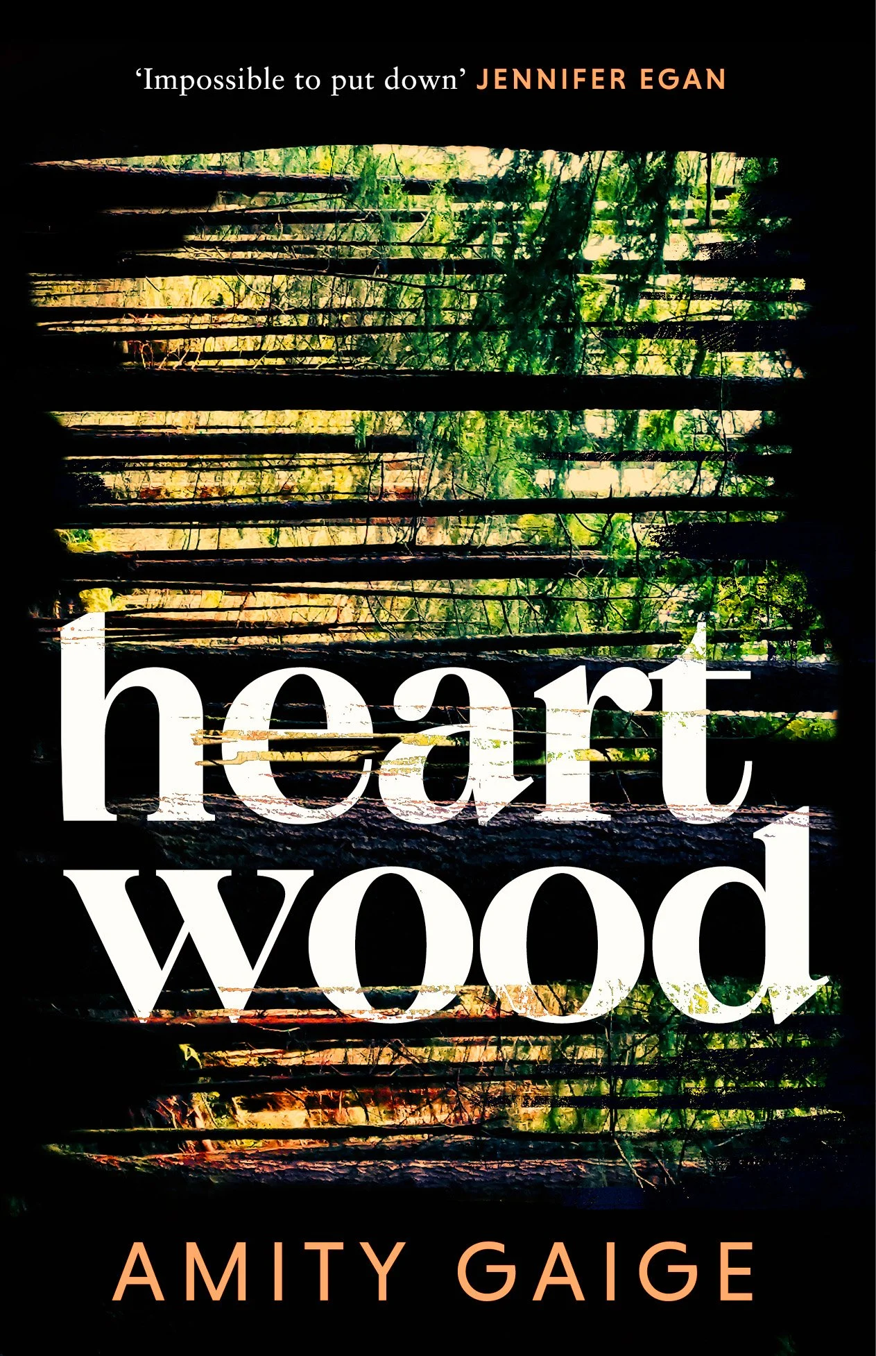 HEARTWOOD -GAIGE, Amity - UK, Fleet - cover, FRONT - FINAL.jpg