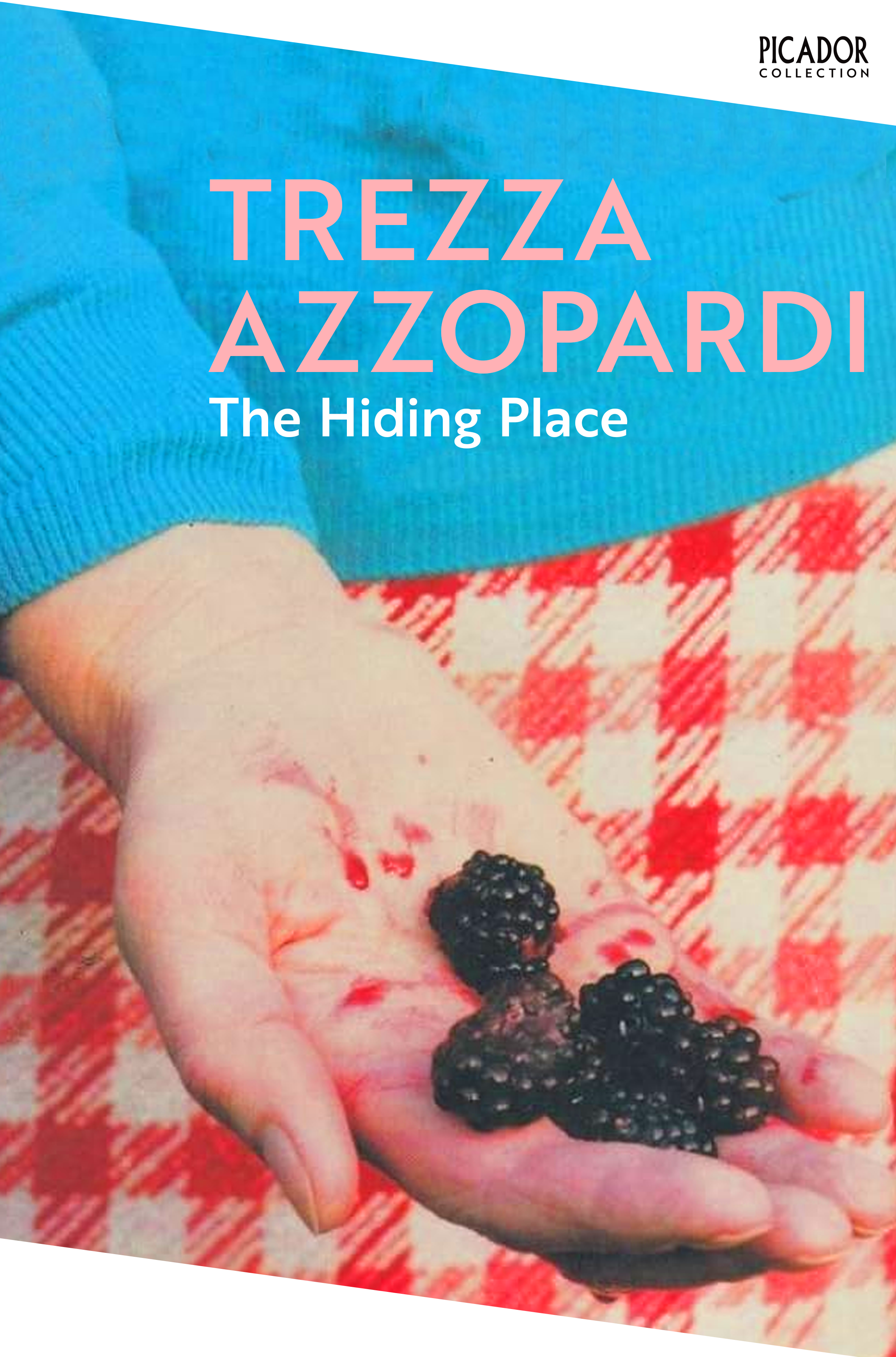 Picador Classics reissue October 2026.png