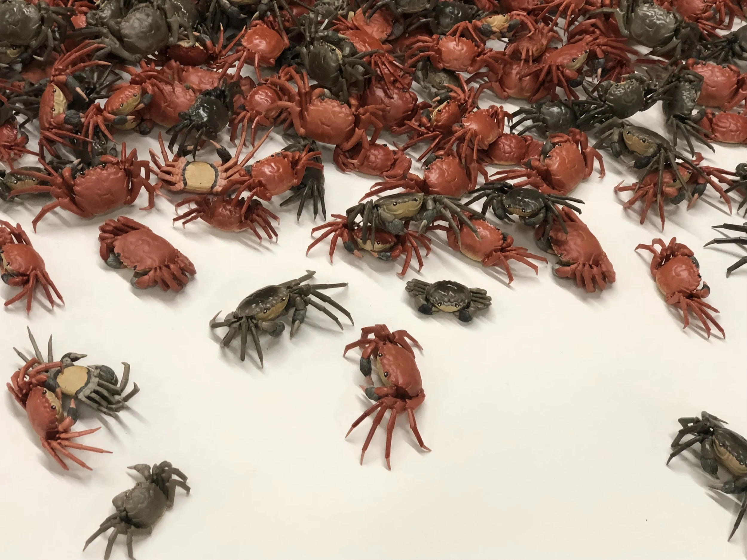 Carangueijos e sementes de porcelana são pistas sobre a sempre presente segunda natureza das civilizações.