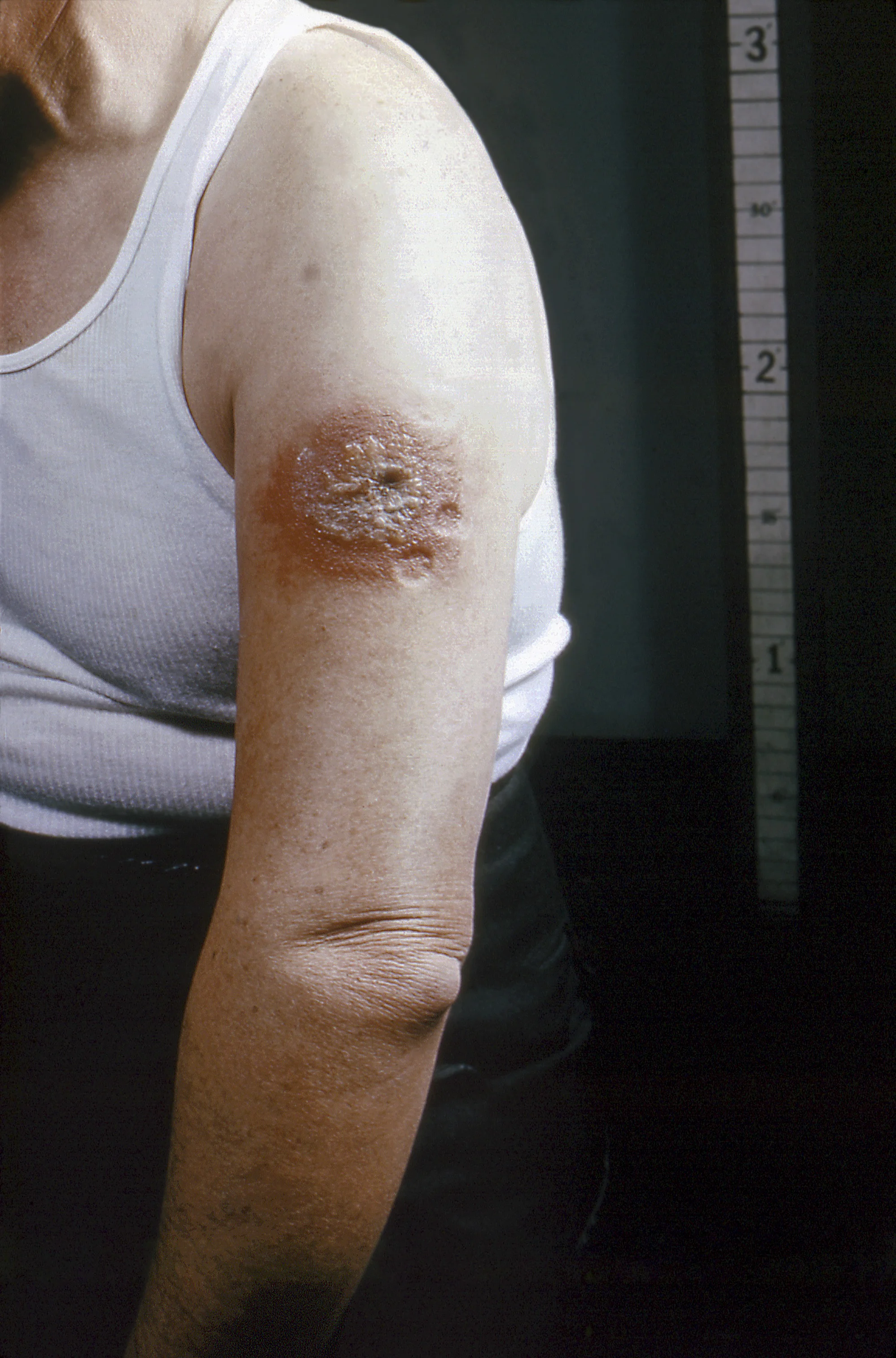 13303-useable-1.jpg