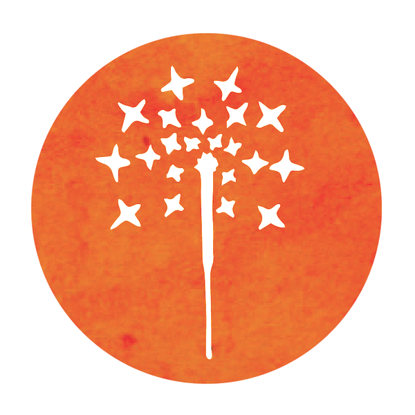 Spark Studio Icon.png