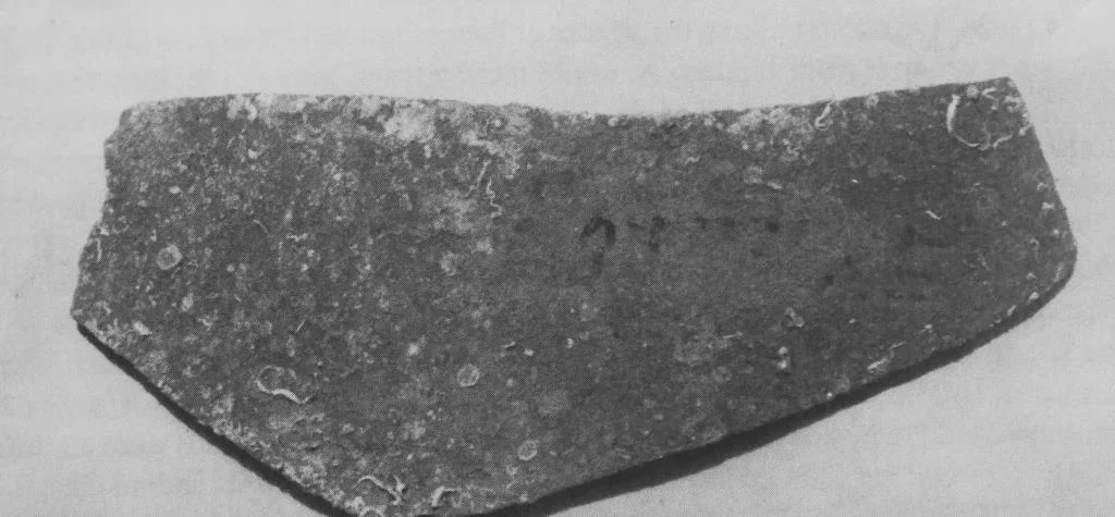 A sherd from the shoulder of an Afriocano Grande amphora with the remains of an inscription - perhaps in pitch - that may read EGTTERE, probably meaning 'to go.' Inscription approx. 16 cm across.