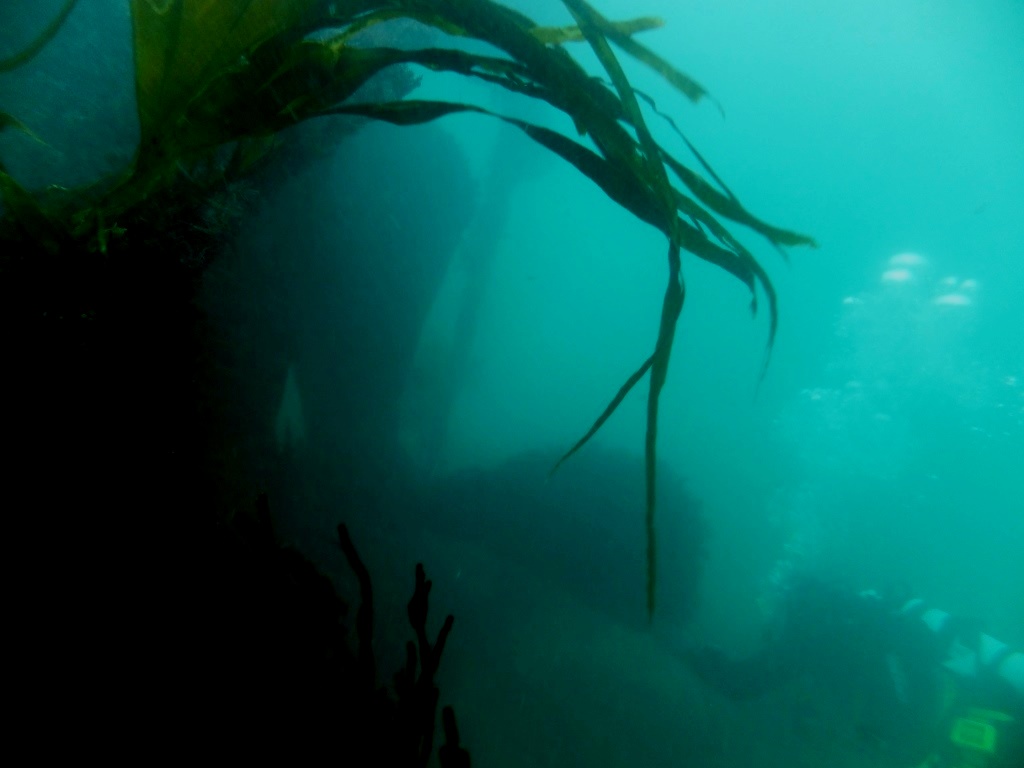 David Gibbins diving on the wreck of the SS Grip, Cornwall, October 2014