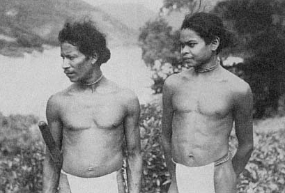 Tribal people such as these Hill Reddis on the banks of the Godavari may have had some resistance to malaria, as well as their own treatments (photo: Christoph von Furer-Haimendorf, Tribes of India ).