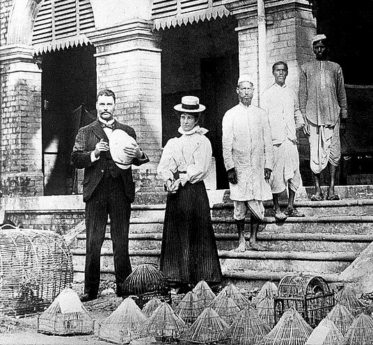 The Rumpa Rebellion, India, 1879-80: jungle fever and the cause of malaria