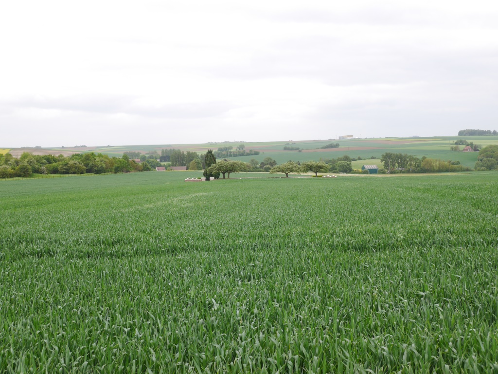 The view south from the ridge above Fricourt (at the top of the map in the first image) towards Fricourt New Cemetery, with the Tamour mines area to the left and the village of Fricourt out sight just beyond that. This view encompasses no-man's land from the British front line, to the right, to the German line, to the left, just within the Tamour mines wood. Walking heavily laden down this slope soon after 7.30 am on 1 July, the 10th West Yorks were met by fire from a single German machine gun positioned in the Tamour area. Because this had been a quiet sector before the battle, no-man's land was not yet pockmarked by shell holes and the men had nowhere to take cover. By the end of the day, only 21 men of the battalion had made it back to the British line; 740 had become casualties. Most of the men who were killed died in this field without even having seen their enemy.
