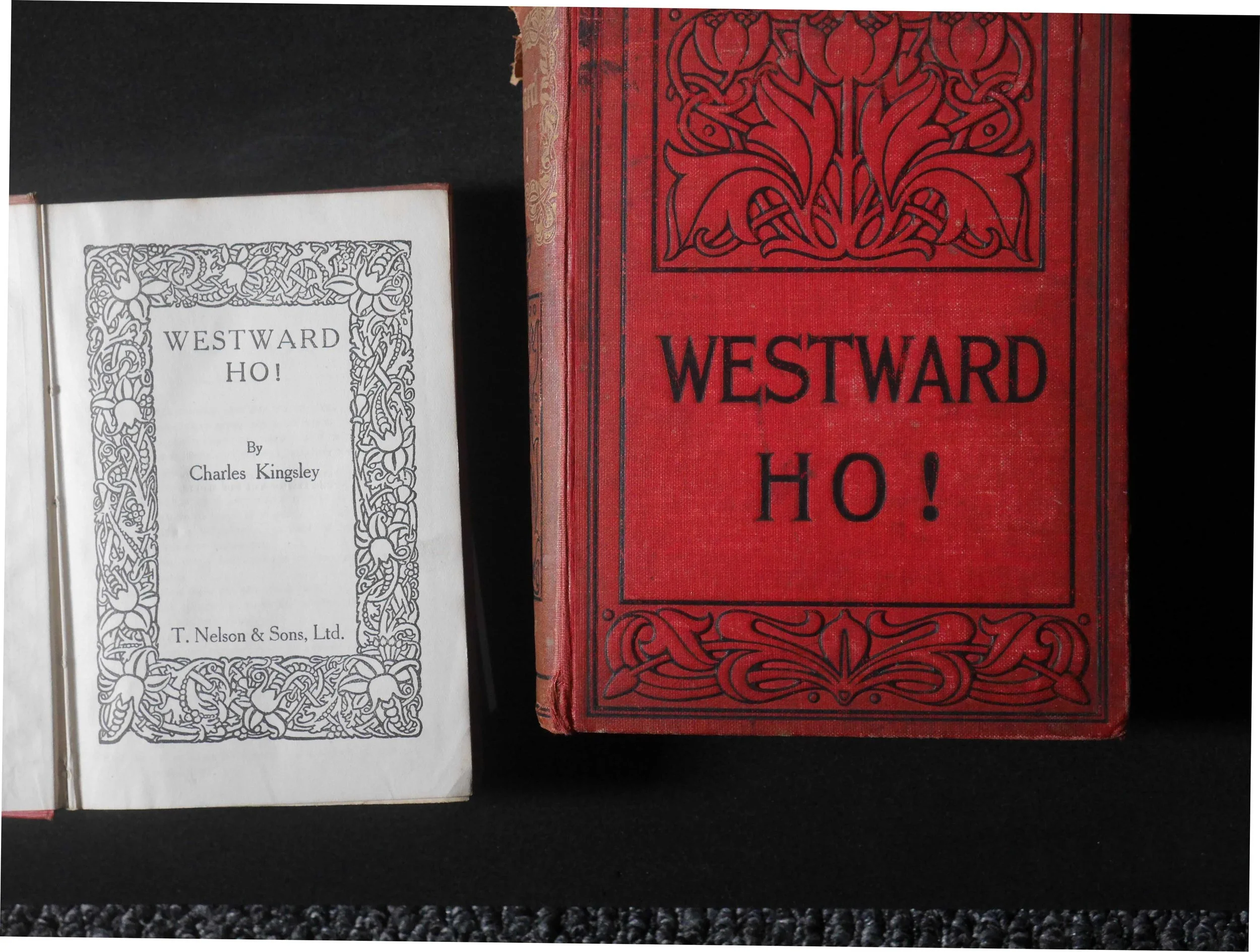 Ralegh Westward Ho banner.jpg