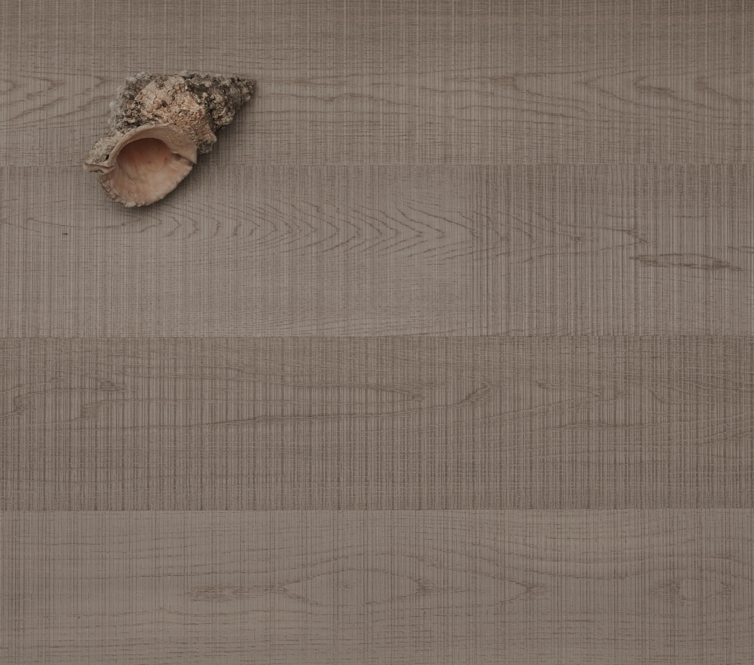 Barn Plank - Biscayne