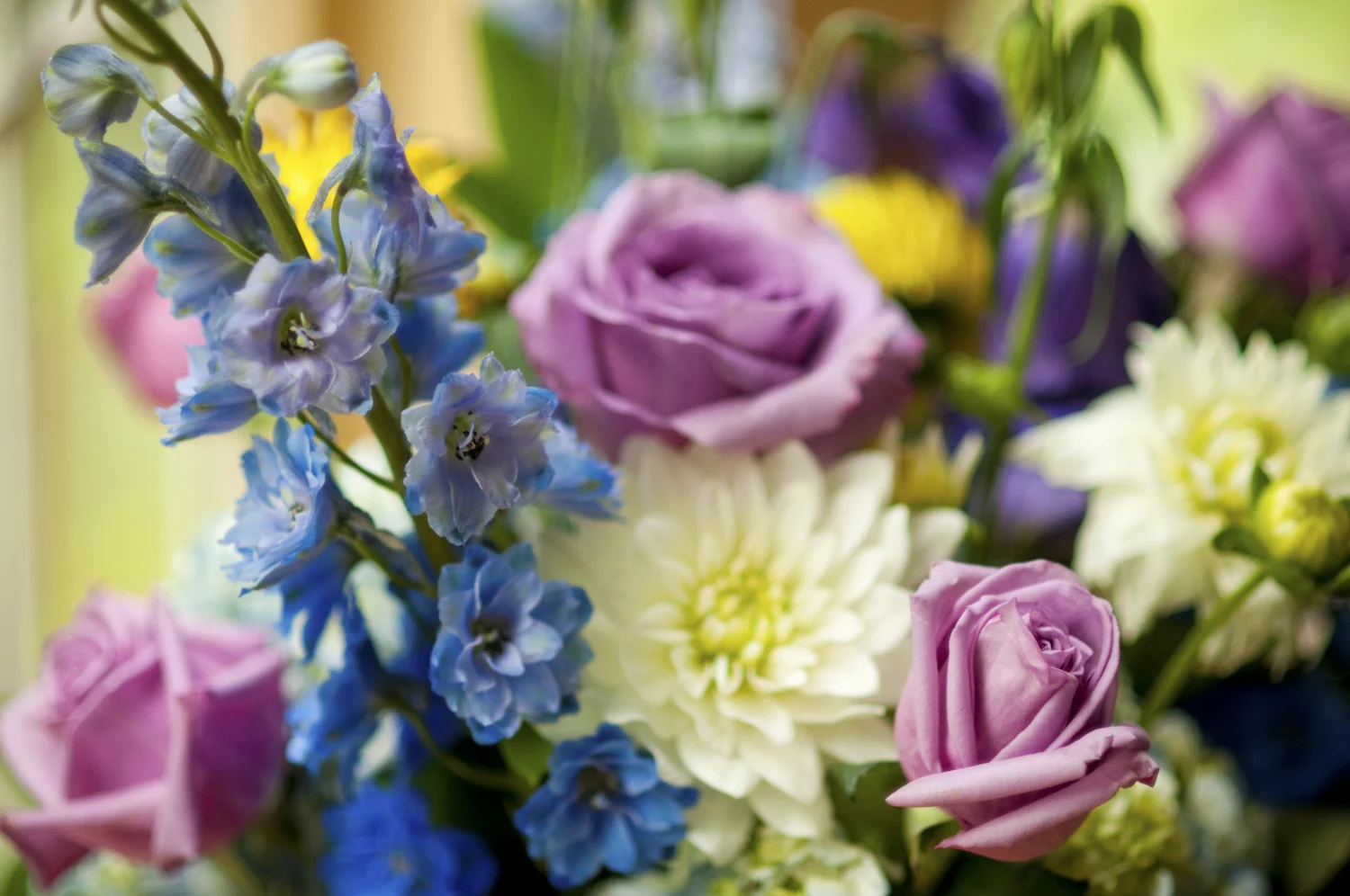 AmandaKoppWeddingPhoto-37.jpg