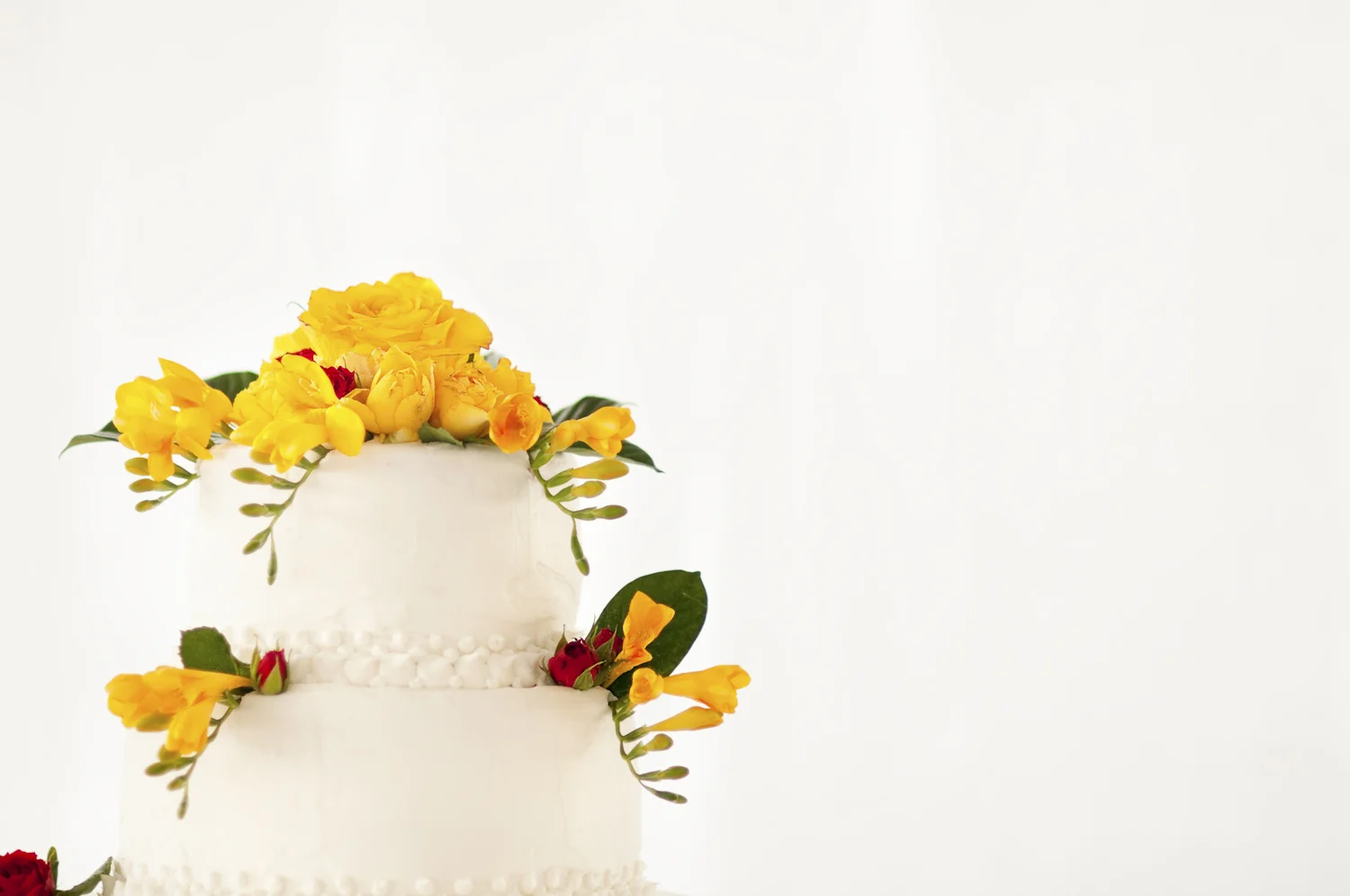 AmandaKoppWeddingPhoto-64.jpg