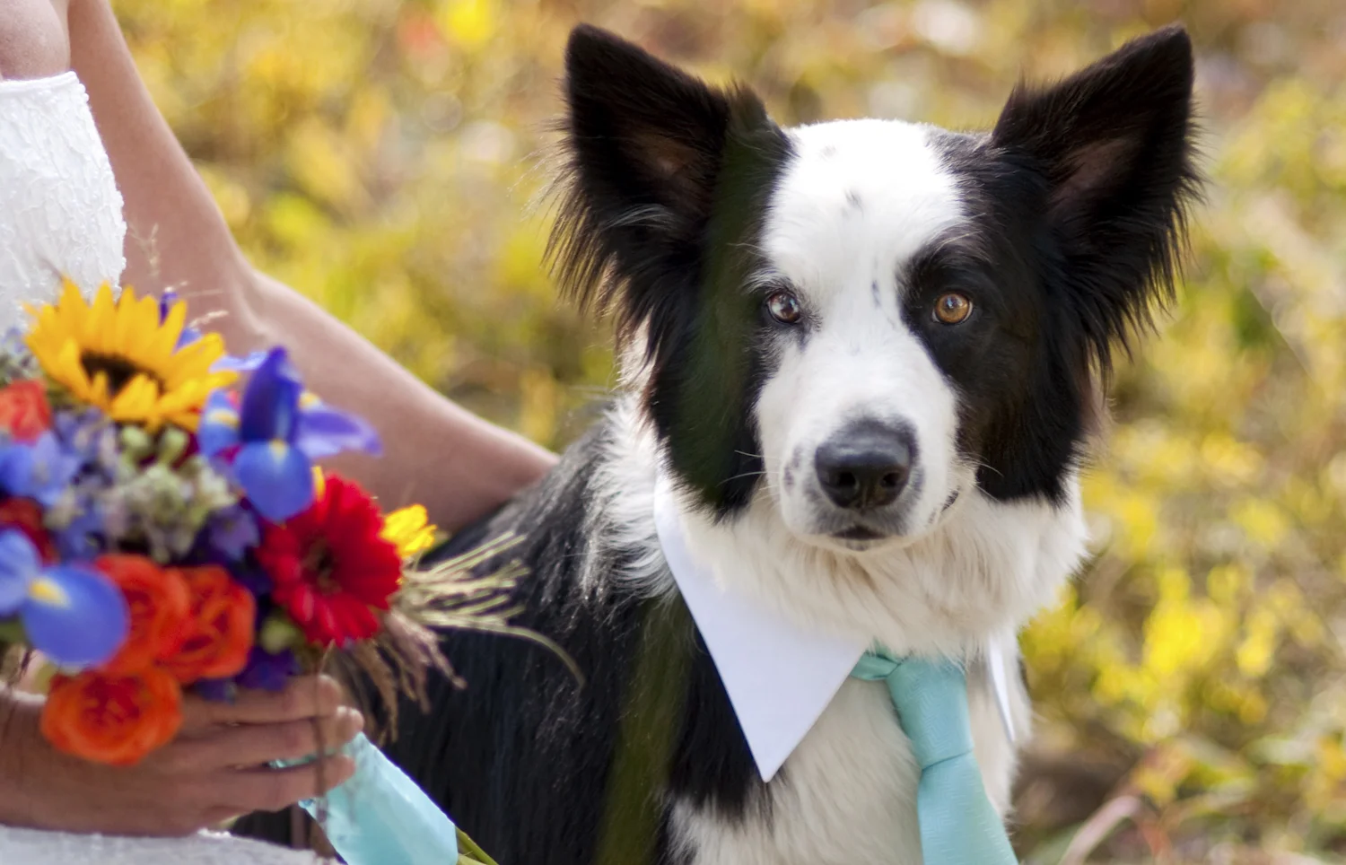 AmandaKoppWeddingPhoto-101.jpg