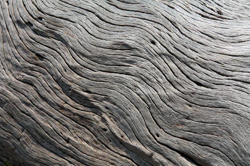 Weathered wood