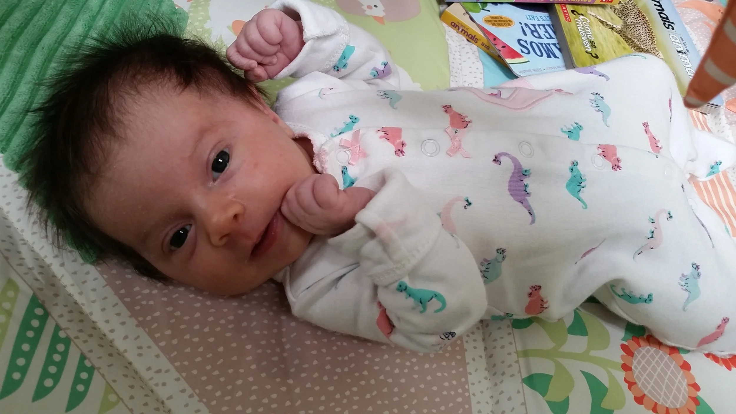 Our little dino