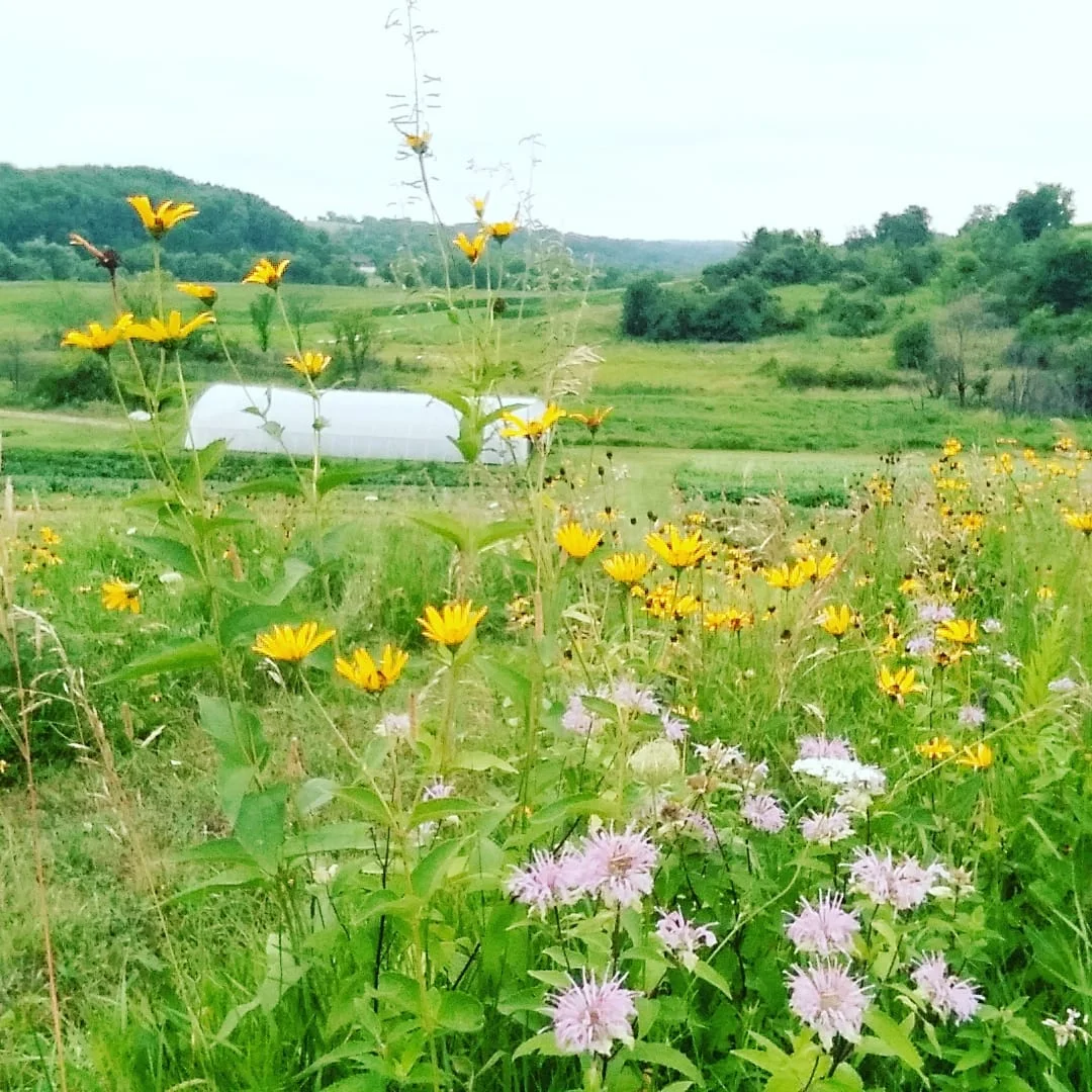 Our farm name in a photo