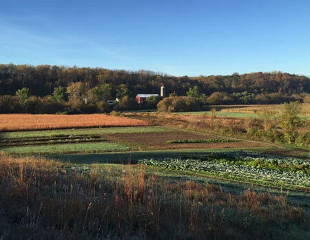 A view of our produce fields and barn from the prairie remnant.