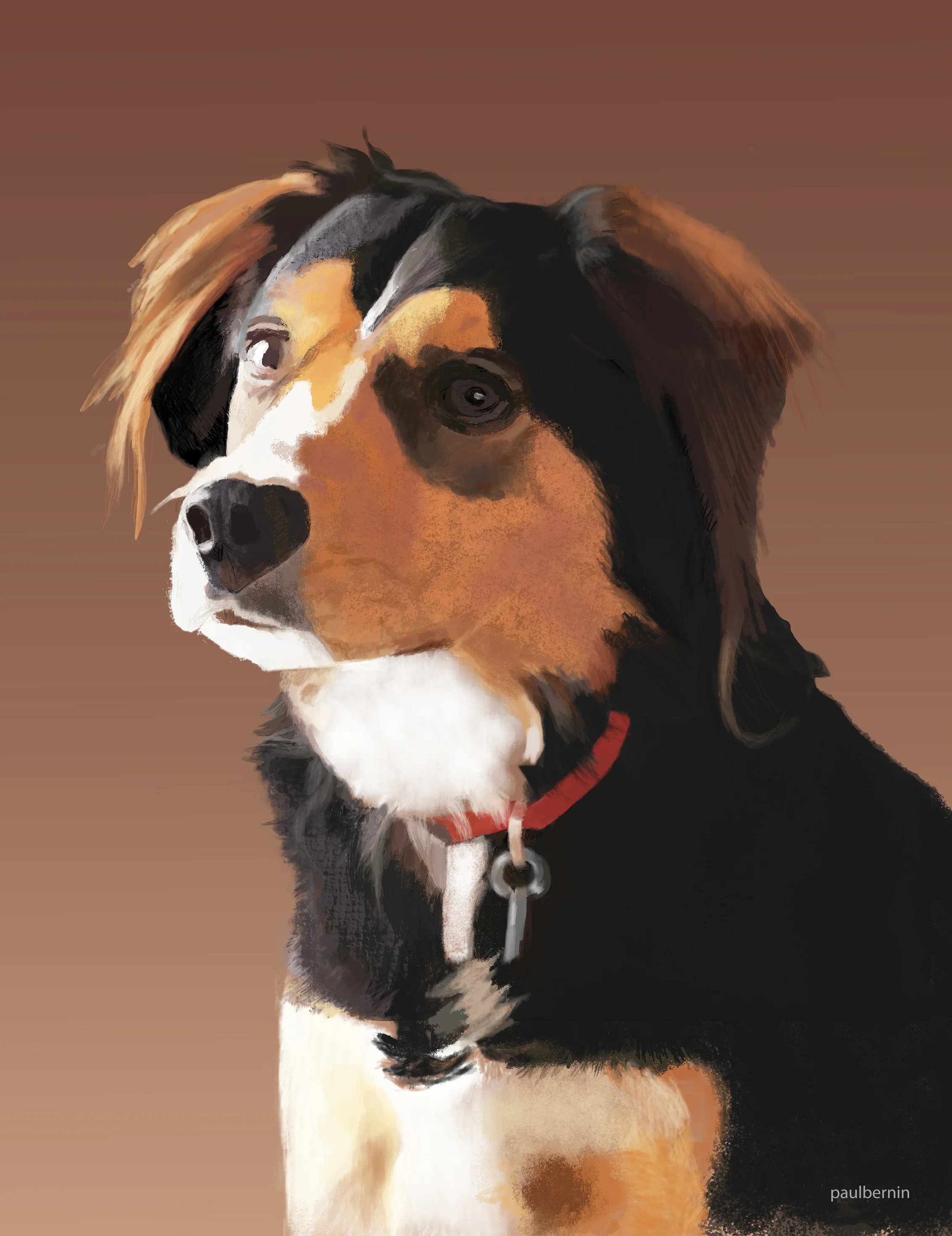 Dog for Peter.jpeg