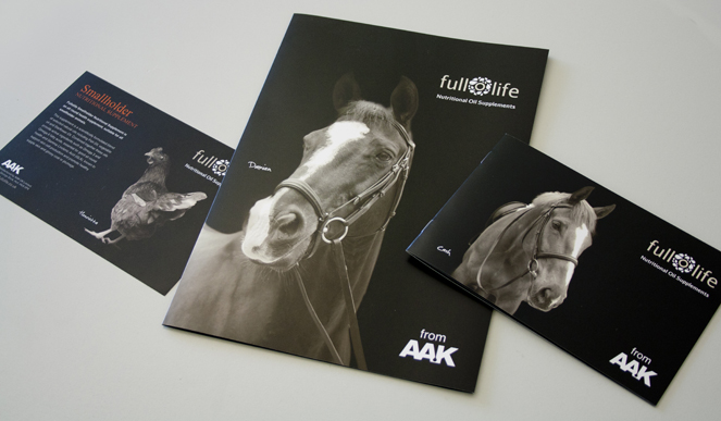 This is a good example of elegant equine photography used in brochures. Thanks to FullofLife for the photo to illustrate this topic.