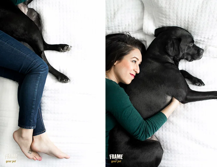 Dog-photos-in-Soma-San-Francisco-city.jpg