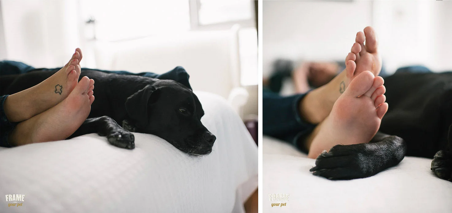 Sunday mornings are perfect to be lazy, but they are even better when you share the moment.