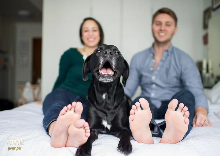 I always like to keep the focus of attention on the pet.