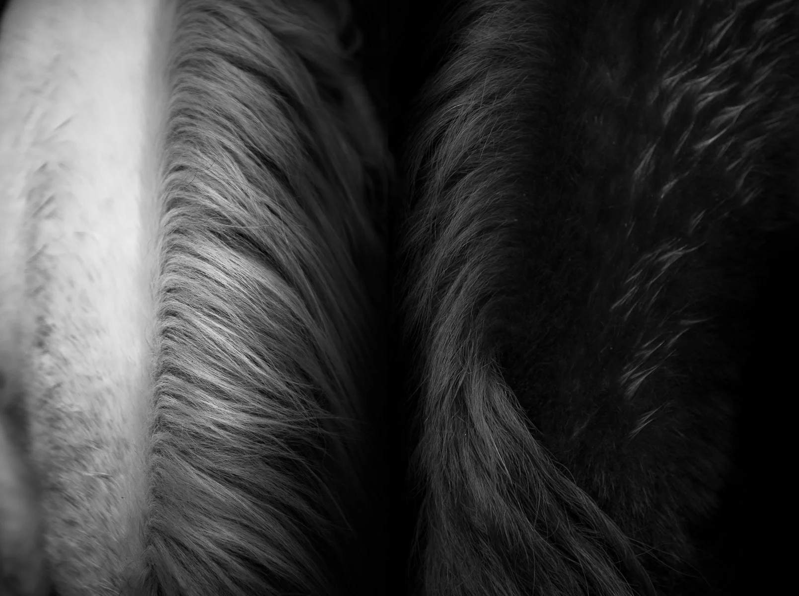 equine-maine-modern-equestrian-photos-inspiration