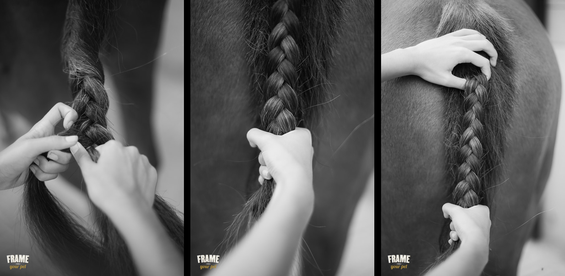 detail of hands braiding horse tail