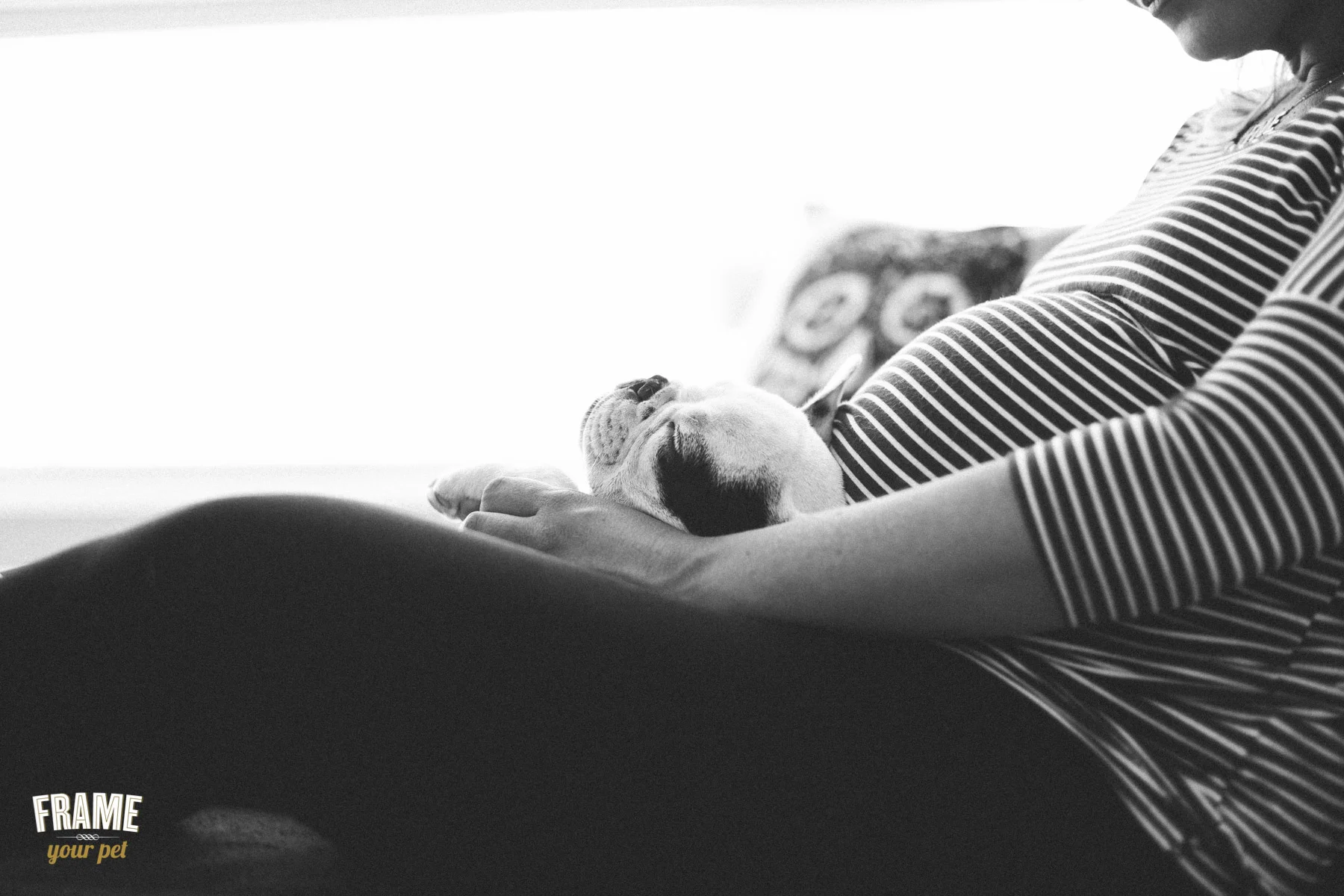 pregnancy-photography-with-dog-puppy.jpg