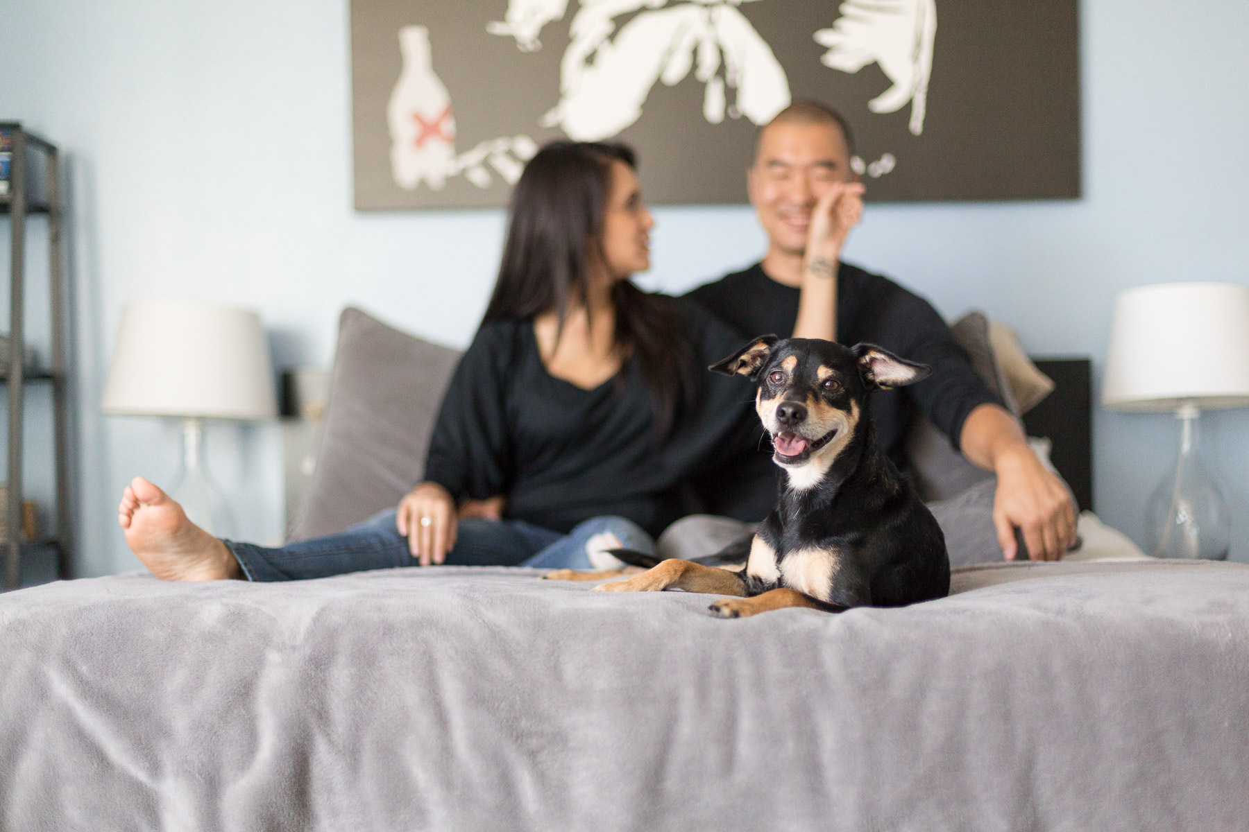 los-angeles-modern-dog-photographer