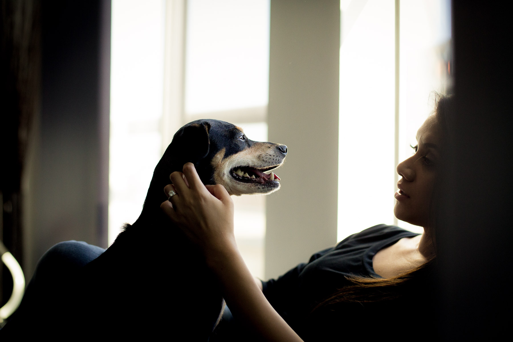 animal-and-owner-bonding