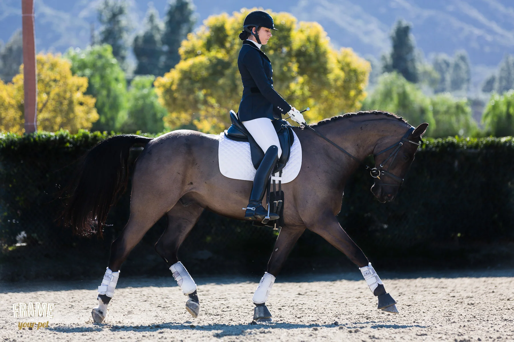 los-angeles-modern-equestrian-photographer