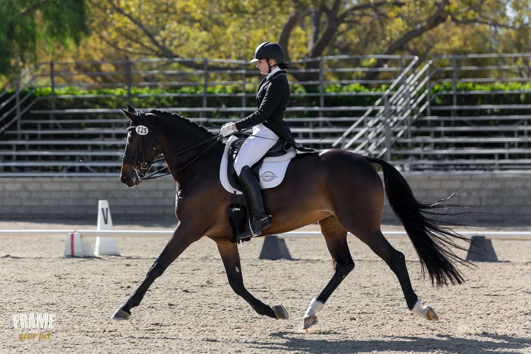 dressage-extended-trot-figure