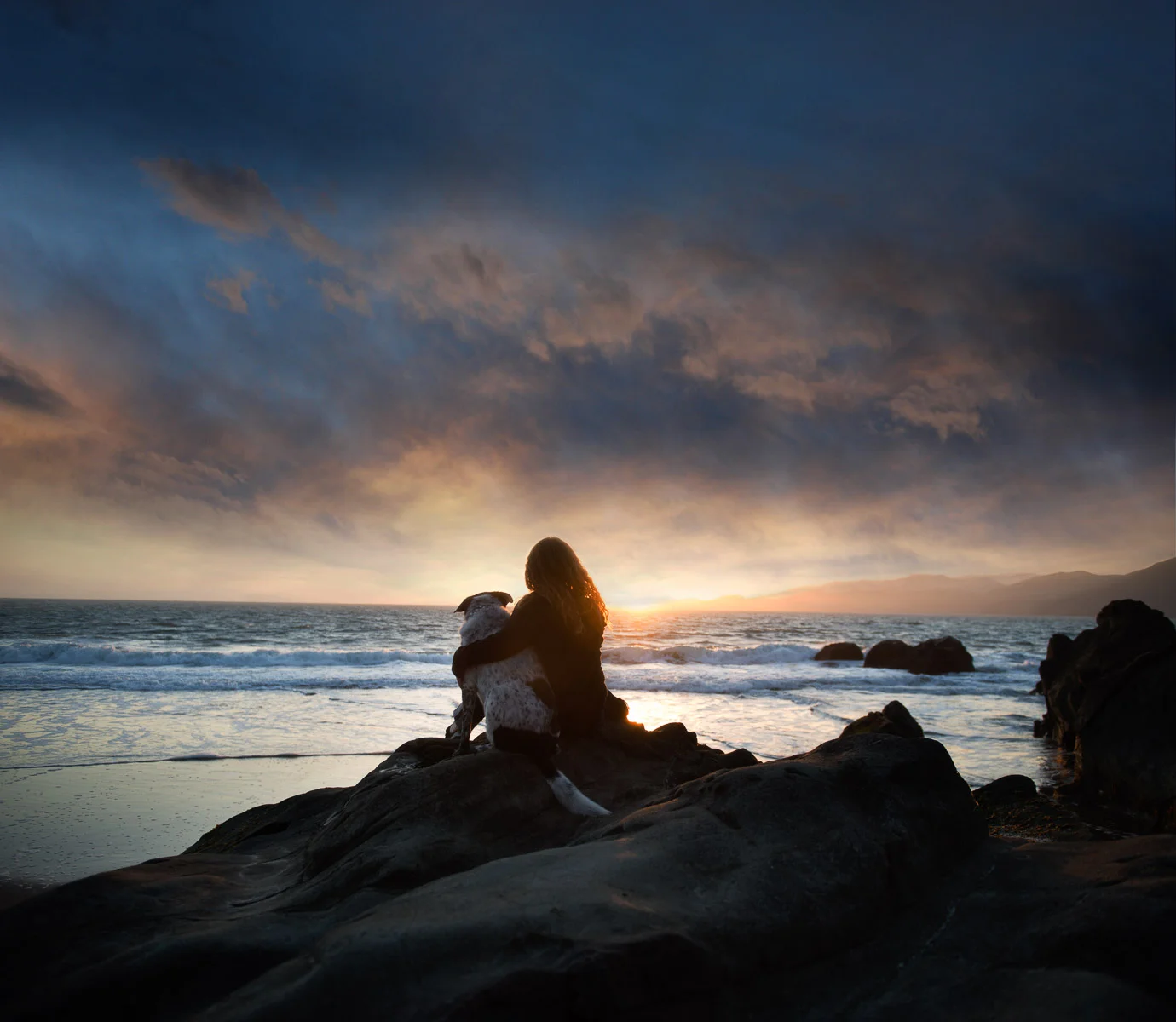 los-angeles-modern-dog-photographer-.jpg