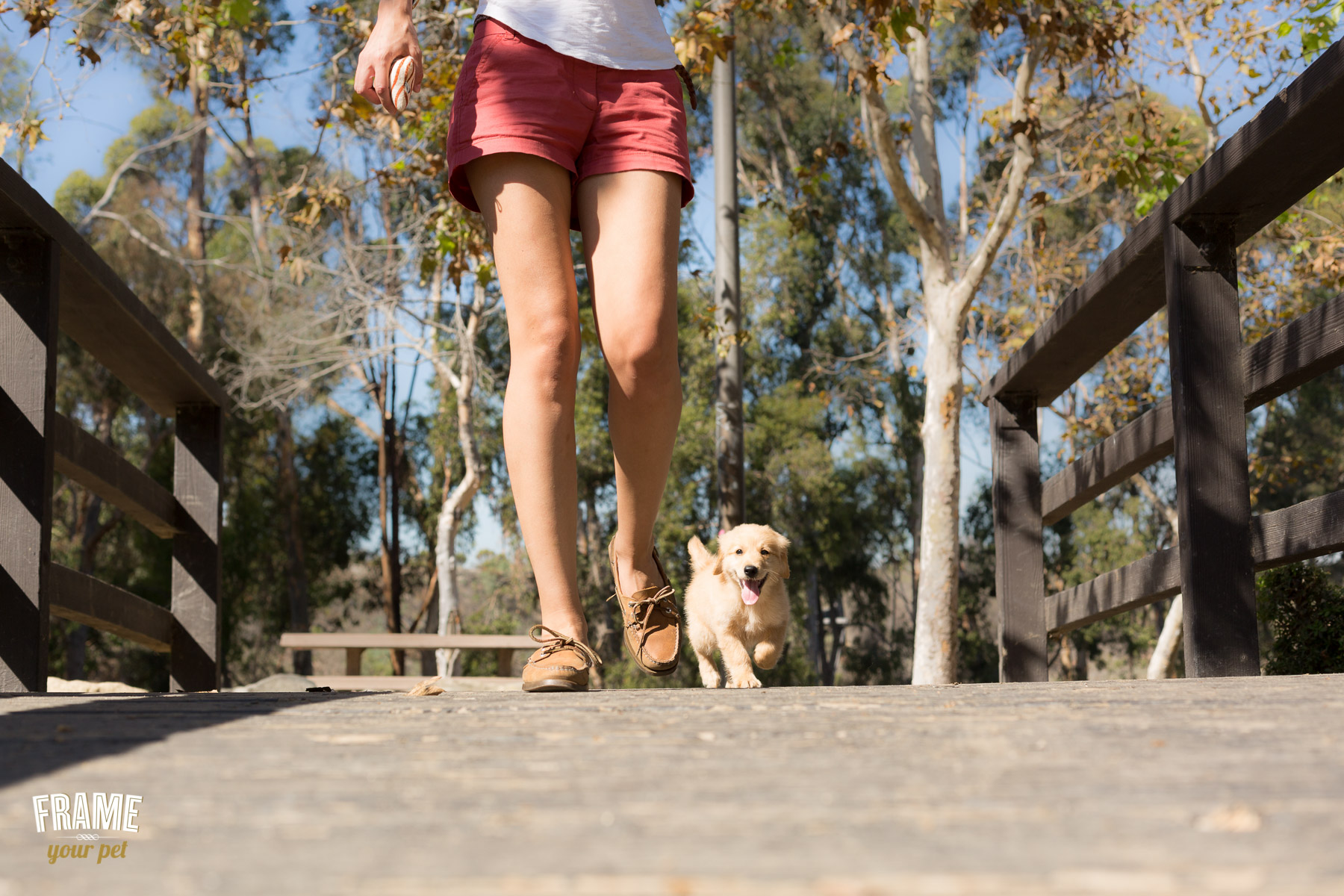 lifestyle-session-with-puppy-golden.jpg