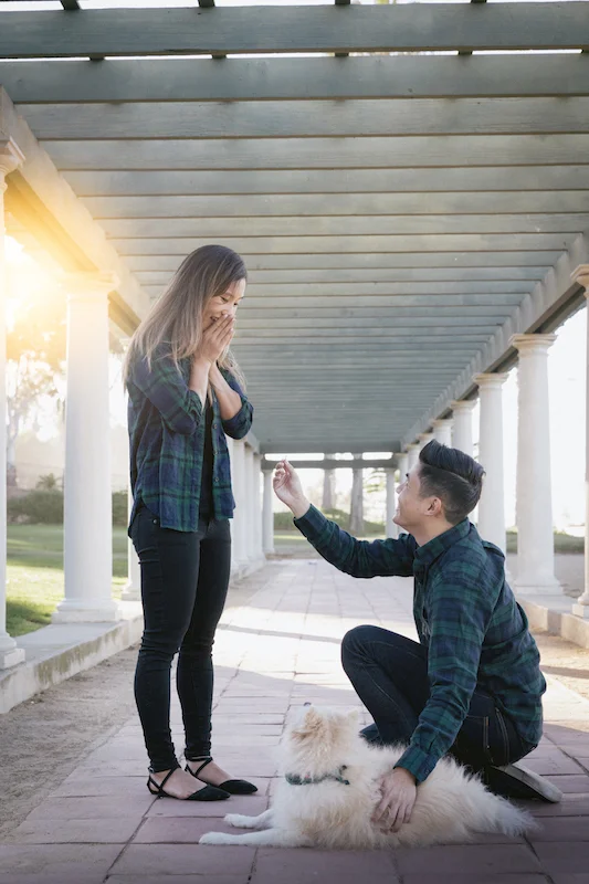 Engagement photo sessions with the help of your dog.