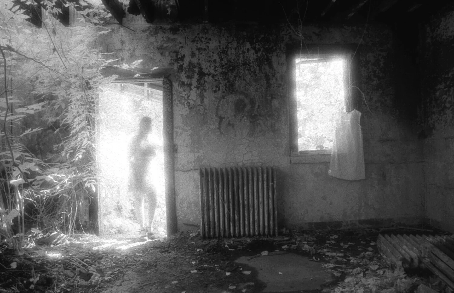 Living Among the Memories