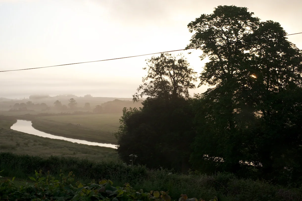 bungalow in june.jpg