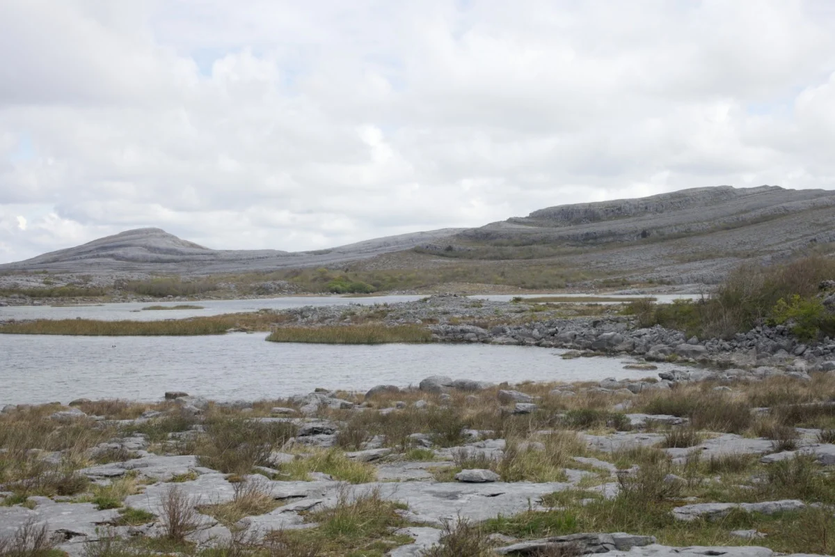 burren.jpg
